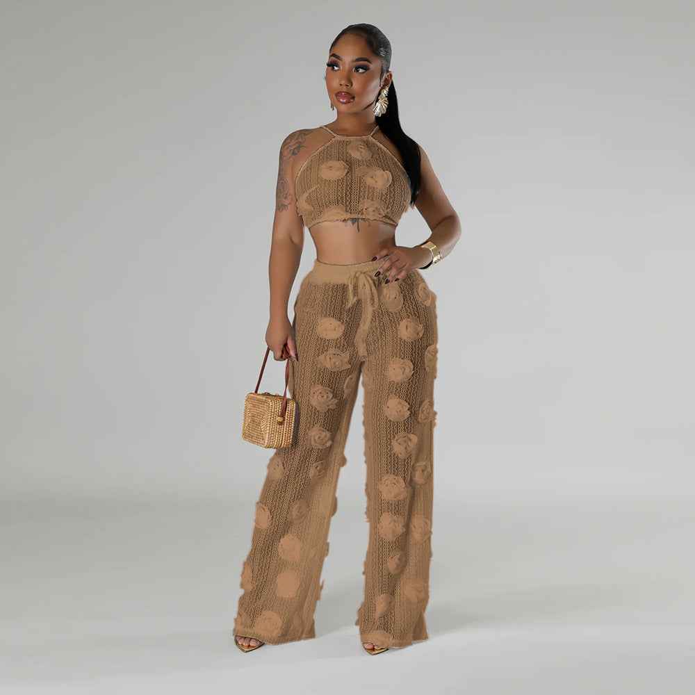 Knotted Short Top with Loose Slim Trousers Solid Color See through Two Piece Set for Women