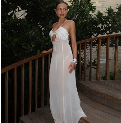 Women Clothing Summer Mesh See through Sling Drawstring Backless Sexy Dress - ALZO
